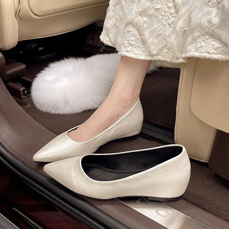 Fashionable low-heeled women's single shoes. Spring/Summer new style. Pointed toe office and commuting comfortable leather shoes