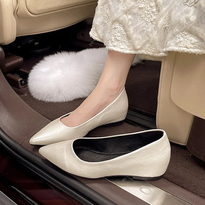 Fashionable low-heeled women's single shoes. Spring/Summer new style. Pointed toe office and commuting comfortable leather shoes