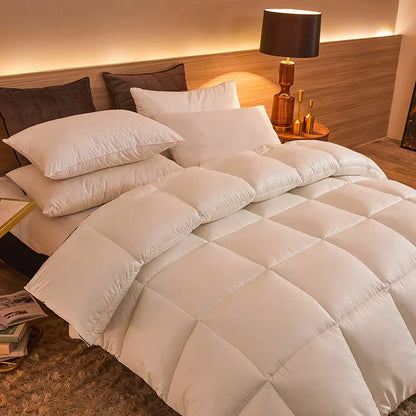 New winter thick quilt core, feather velvet quilt, spring and autumn warm thick quilt, suitable for all seasons