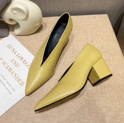 Sexy Autumn New Designer Vintage Evening Shoes Ladies Fashion Pointed Toe V Cut Woman Shoes High Heel Pumps Sexy C323