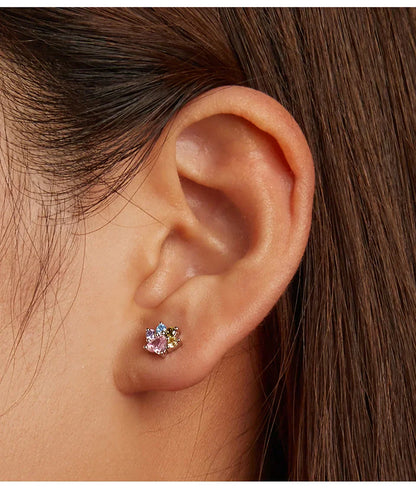 925 Sterling Silver Animals Cute Paws Rainbow Stud Earrings For Women Heart Oval Flower Zircon Crab Ear Studs Jewelry Gift