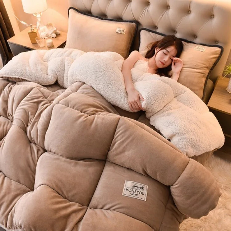 Household Thickened Warm Quilt Core Double-sided Velvet Lamb Wool Autumn Winter Blanket dormitory Warm Double-sided Velvet Core