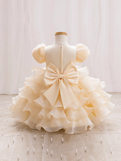 Baby Dress 2025 Spring/Summer on new three-dimensional floral soft yarn birthday party piano Performance Girl dress Elegant fluf