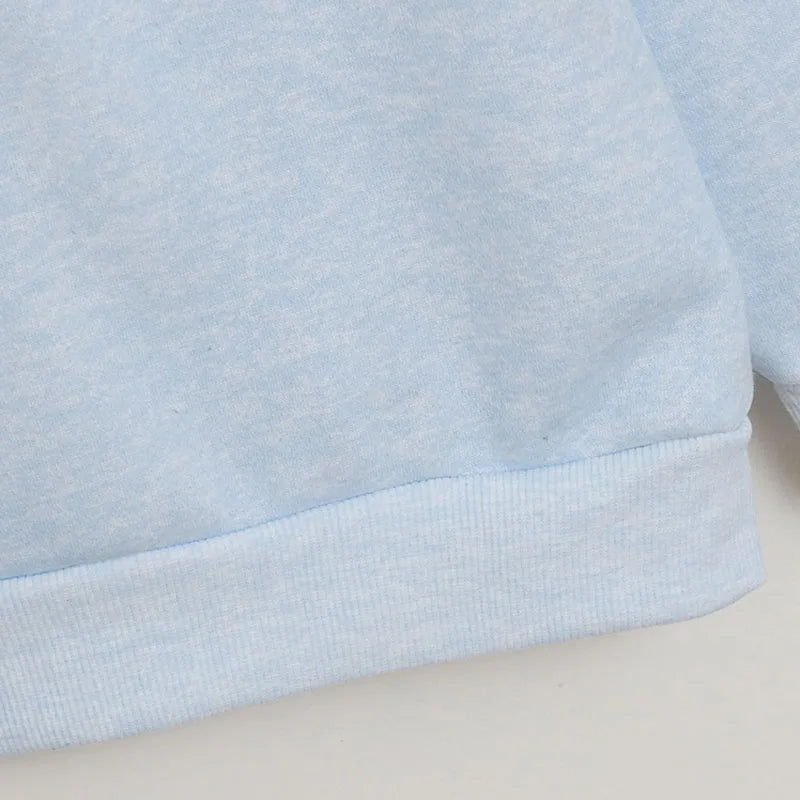 Eeyore Embroidery Fleece Sweatshirt Women O Neck Long Sleeve Casual Pullover Tops Female Cute Cartoon Jumper Streetwear