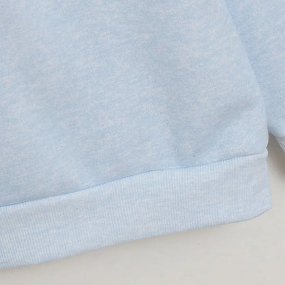 Eeyore Embroidery Fleece Sweatshirt Women O Neck Long Sleeve Casual Pullover Tops Female Cute Cartoon Jumper Streetwear