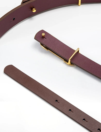 Luxury Brand Leather Belt Women Designer Alloy Buckle Genuine Leather Waist Strap Female Jeans Trouser Dress Waistband Belt