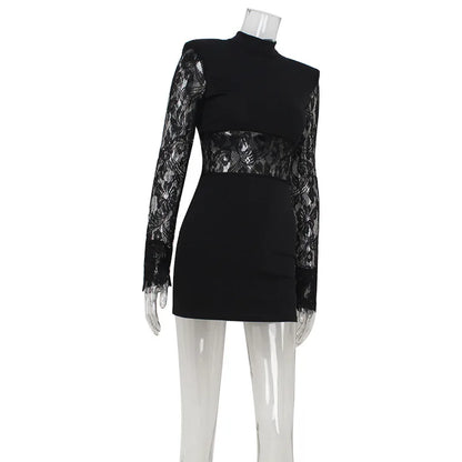Patchwork Lace Hip Wrap Sheath High Collar Women Dresses Long Sleeve Sexy Club Fashion Bodycon Sheer Female Vestidos