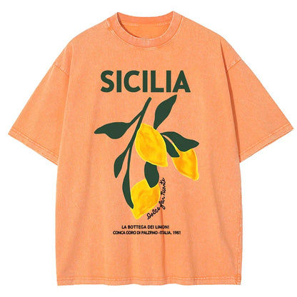 Lemon Fruit Design Women Washed T-Shirts Y2K Casual T Shirt Summer Hip Hop Top Cotton Loose Short Sleeve