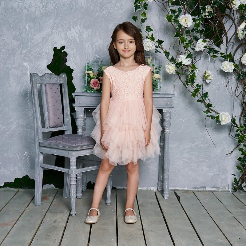 Summer Princess Dresses for Girl Lace Tulle Party Wedding Dress With Sash Baby Clothes 1-6Y E1953