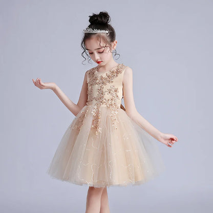 Summer Children Girls Sundress Young Teenagers Girls Sleeveless Princess Evening Dress 3-12Y Kids Girls Puffy Tulle Dress