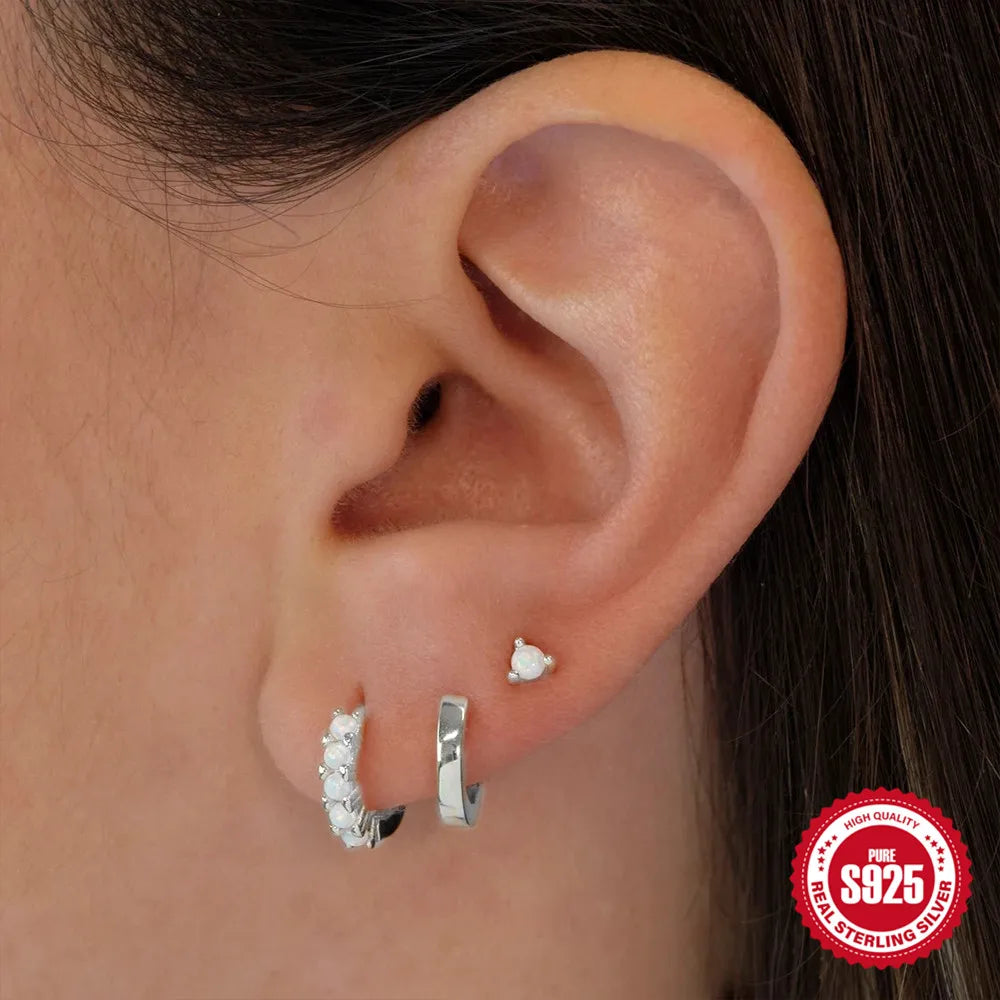 CANNER Set Double Layer Smooth Classic Hoop Earrings For Women 925 Sterling Silver Ins Flower Color Zircon Earrings Fine Jewelry