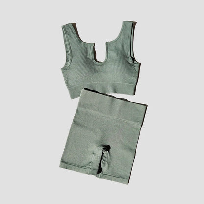 2/4/6PCS Seamless Women Yoga Set Workout Sportswear Fitness Bra Sport Pants Gym Clothing High Waist Leggings Shorts Sports Suits