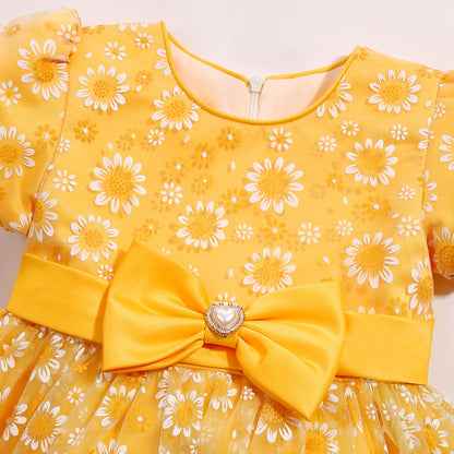 Cross-border special summer burst dress girls printed waist wedding dress flower girl short-sleeved princess puffy skirt