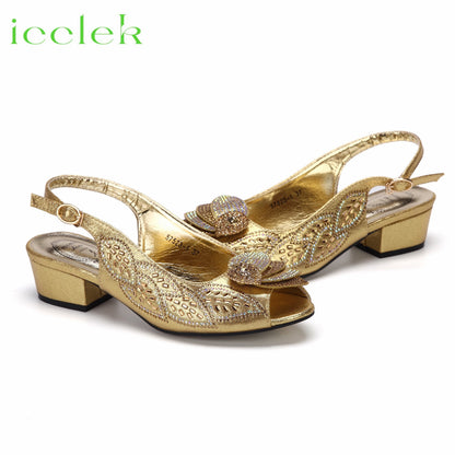 2023 Newest INS Style Brown Color Elegant Low Heels Nigeria Popular Design African Ladies Shoes And Bag Set for Wedding Party