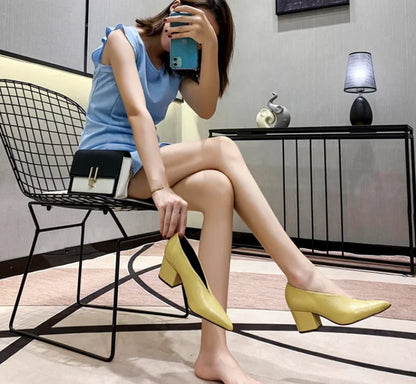 Sexy Autumn New Designer Vintage Evening Shoes Ladies Fashion Pointed Toe V Cut Woman Shoes High Heel Pumps Sexy C323