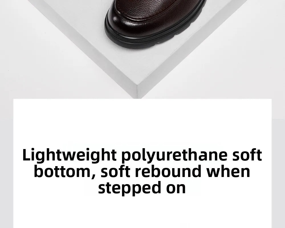 Golden Camel Men's Shoes 2026 New Business Casual Soft Sole Leather Shoes Brand Design Soft Soles Non-slip Velvet Warm Loafers