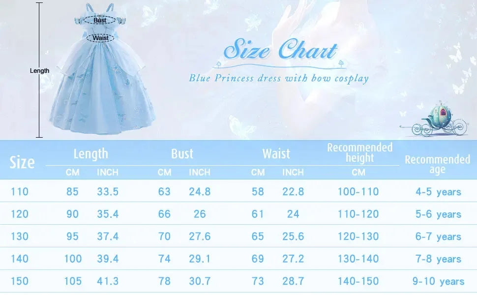 Fashion Embroidery Butterfly Princess Dress Girls Cinderella Cosplay Costumes Blue Gown for Carnival Birthday Evening Dress