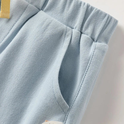 Boy's Suit 2025 New Summer Clothes Children's Short-Sleeved T-shirt Shorts Baby Two-Piece Set Casual Sport DB2240629