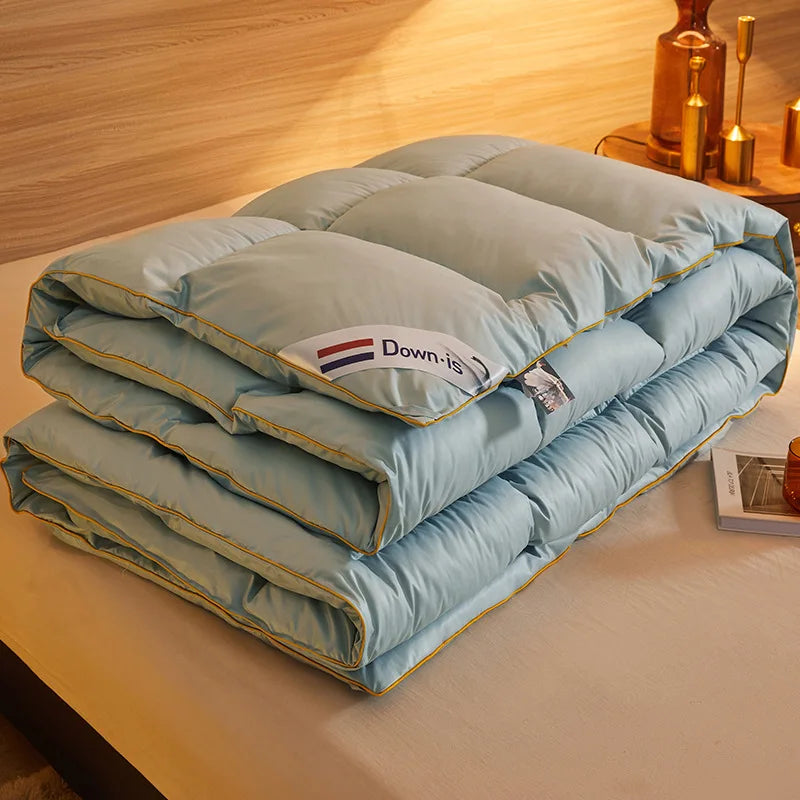 New winter thick quilt core, feather velvet quilt, spring and autumn warm thick quilt, suitable for all seasons