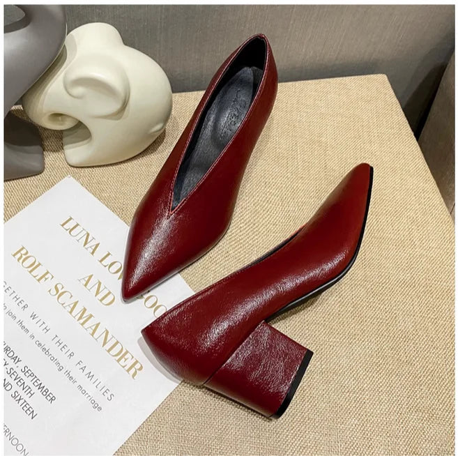 Sexy Autumn New Designer Vintage Evening Shoes Ladies Fashion Pointed Toe V Cut Woman Shoes High Heel Pumps Sexy C323