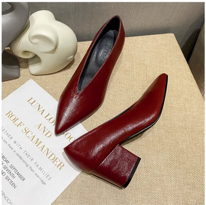 Sexy Autumn New Designer Vintage Evening Shoes Ladies Fashion Pointed Toe V Cut Woman Shoes High Heel Pumps Sexy C323