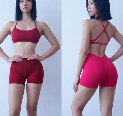 Women's Seamless Quick Dry Fitness Set Sports Bra And Hip Lifting V-Waist Yoga Shorts Pilates Training Clothing Gym Set