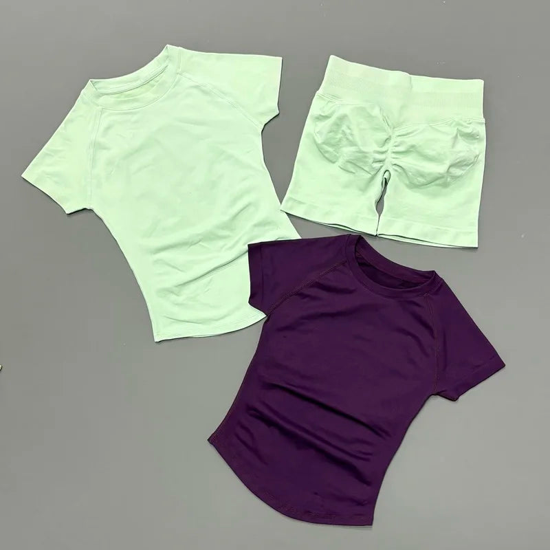 2 Piece Gym Sets Women Seamless Short Sleeve Top Butt Lifting Shorts Workout Fitness Running Sports Yoga Tracksuit