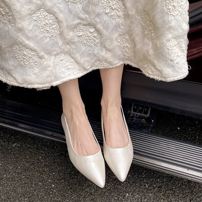 Fashionable low-heeled women's single shoes. Spring/Summer new style. Pointed toe office and commuting comfortable leather shoes
