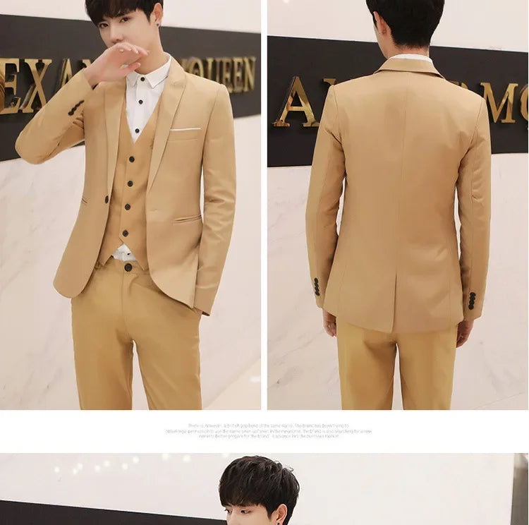Western-Style Men's Suits Cross-Border Wholesale New Arrival Slimming Three-Piece Set Korean Version Business Professional Gown